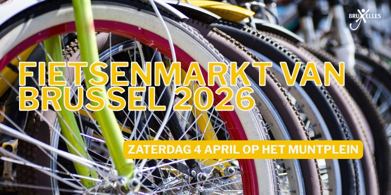 Fietsenmarkt van Brussel