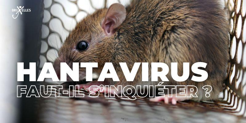 Hantavirus : faut-il s’inquiéter ?