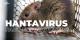 Hantavirus : faut-il s’inquiéter ?