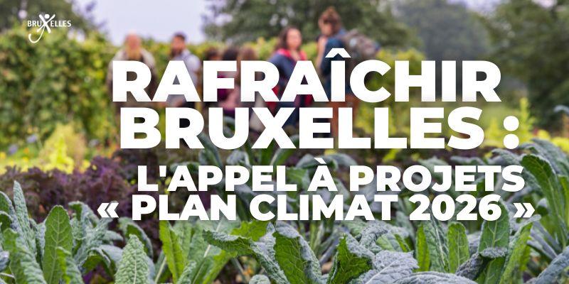 Rafraîchir Bruxelles : l'appel à projets « Plan climat 2026 »