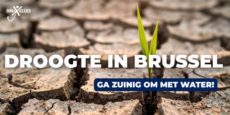 Droogte in Brussel : code geel geactiveerd